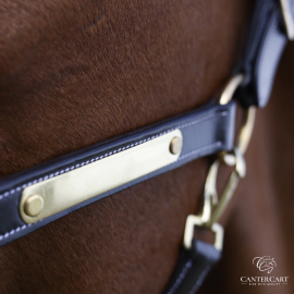 Padded Leather Halter for Horses | CanterCart
