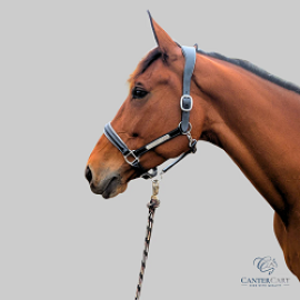 Brown English Bridle Collection | CanterCart