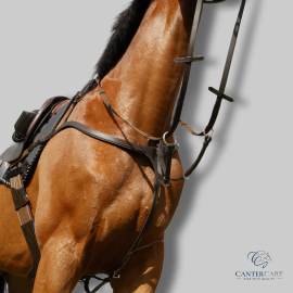 Affordable Horse Tack Online | CanterCart