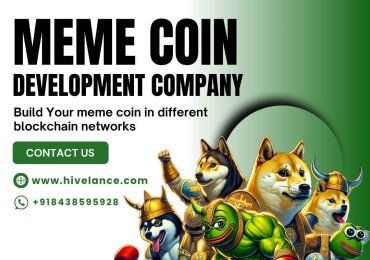 Launch Your Meme Coin With Different Blockchains – Hivelance