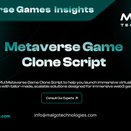 Start a 3D World with Metaverse Game Clone Script