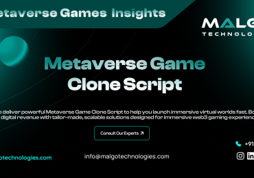 Start a 3D World with Metaverse Game Clone Script