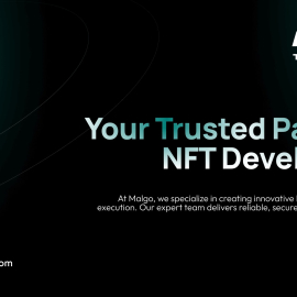 Innovative NFT Development Company for Future-Ready Digital Platforms