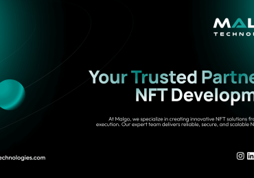 Professional NFT Development Company for Custom Digital Assets