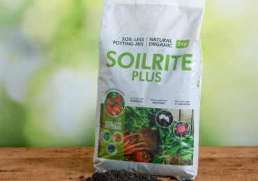 Best Soilless Potting Mix | Indoor Gardening Product – Keltech Energies