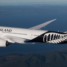 Extension visitor visa nz