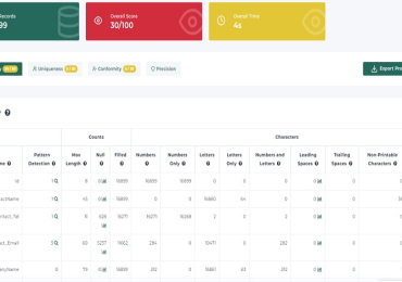 Data profiling metrics | Match Data Pro LLC