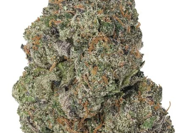 Red Velvet Runtz | Diamondreleafrx.com