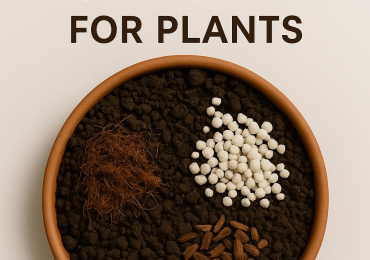 soil mixture for plants | Keltech Energies