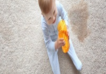 Premier Carpet Cleaning in North West London – Local Experts at Your Service