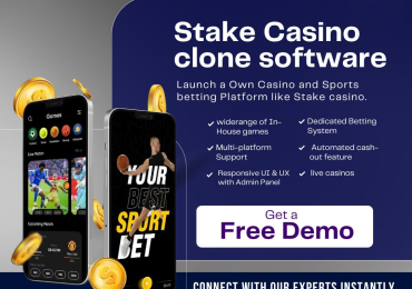 Build Your Casino Empire with Stake Clone Script – Quick & Cost-Effective!