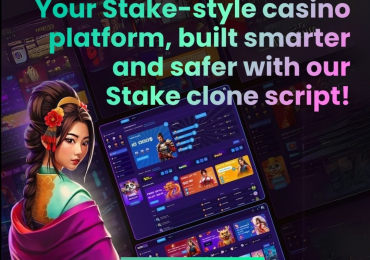 Stake Clone Script at Minimal Cost – Start Your Casino Business Today!