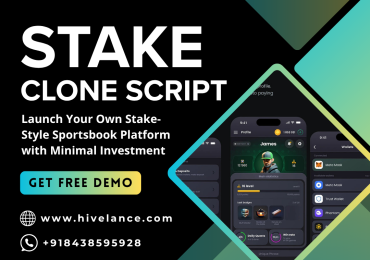 Ready-Made Stake Clone Script – 100% Customizable & Secure