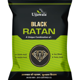 Ujjawala Black Ratan in jaipur