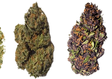 Thca Weed For Sale | Diamondreleafrx.com