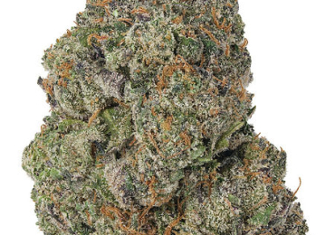 Buy Cannabis Online | Diamondreleafrx.com